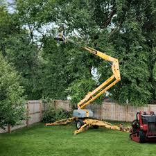 Best Tree Disease Treatment  in Newark, TX